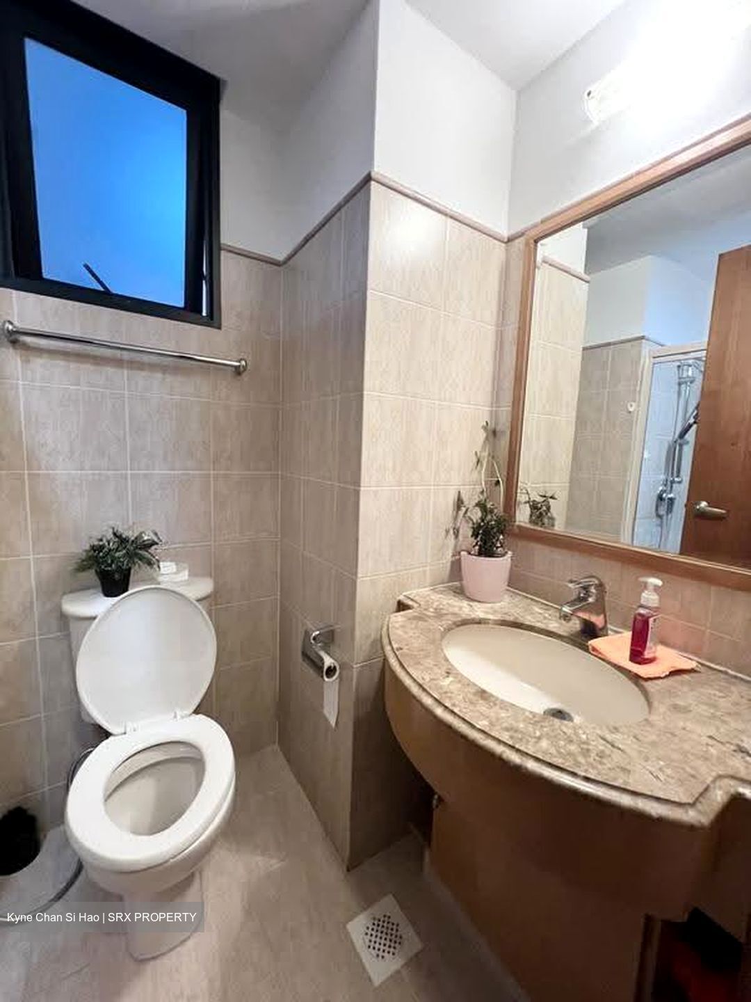 Tanglin View (D3), Condominium #628773701